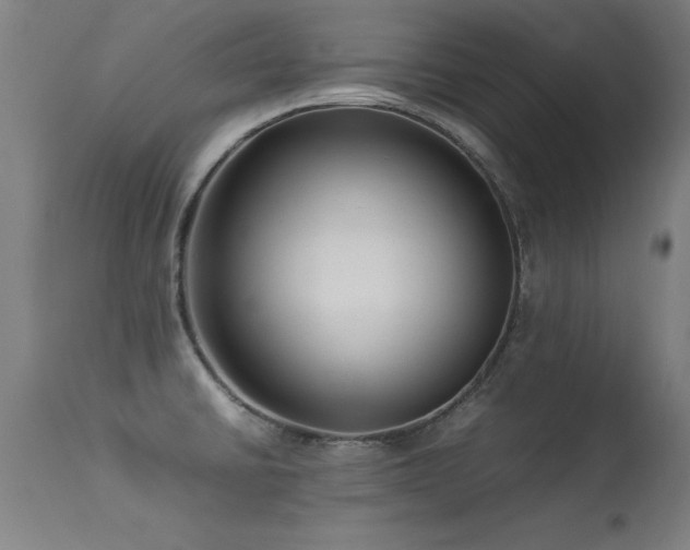 X0000113371430200909221212