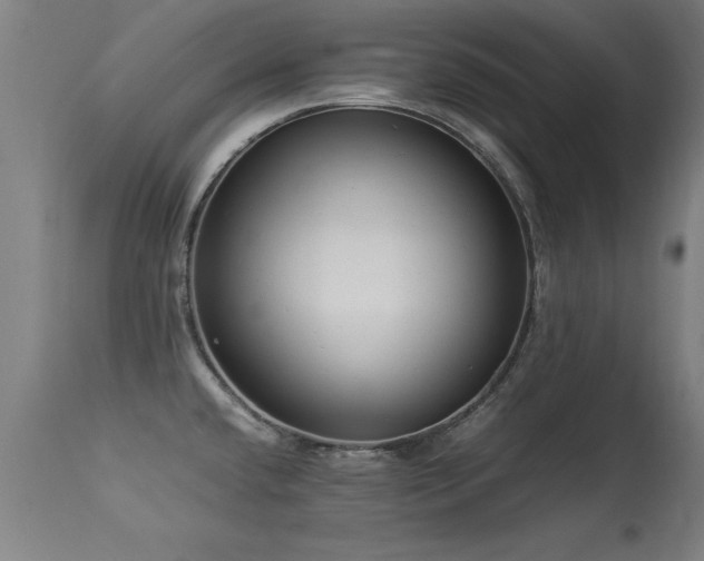 X0000113371432200909221212