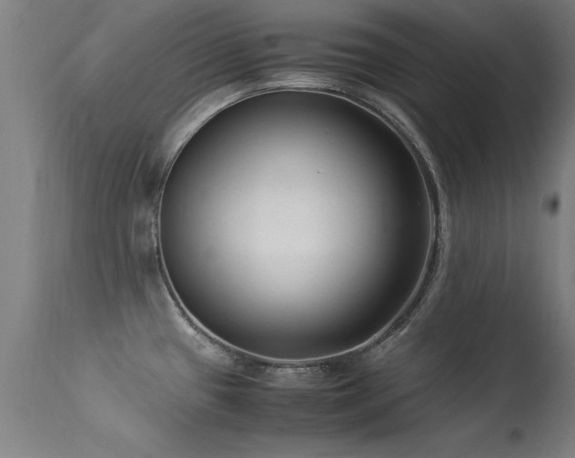 X0000113371433200909221212
