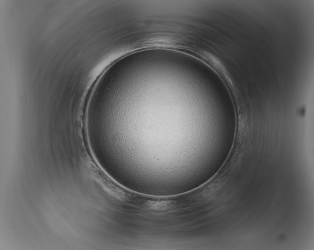 X0000113371435200909221212