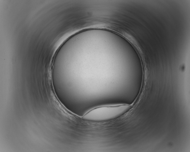 X0000113371436200909221212