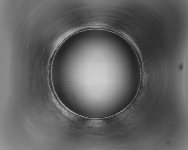 X0000113371437200909221212