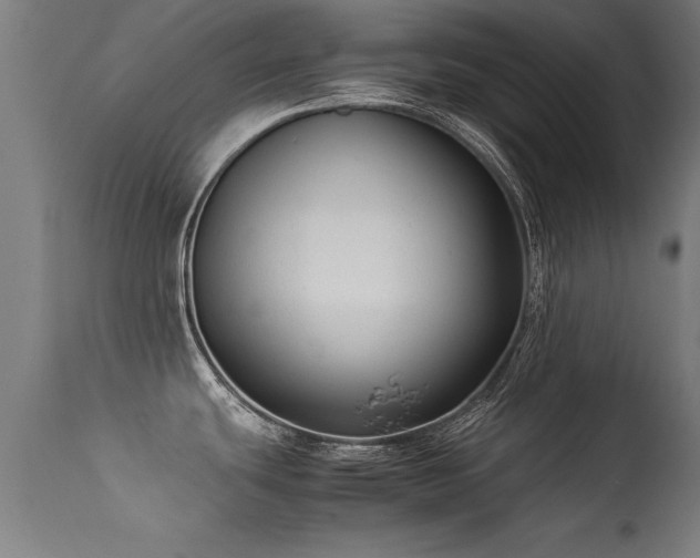 X0000113371439200909221212