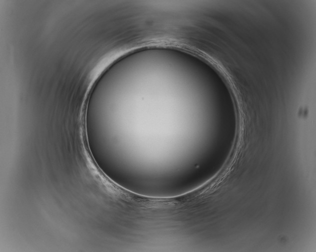 X0000113371440200909221212