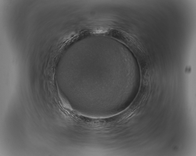 X0000113371441200909221212