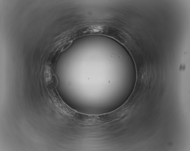 X0000113371442200909221212