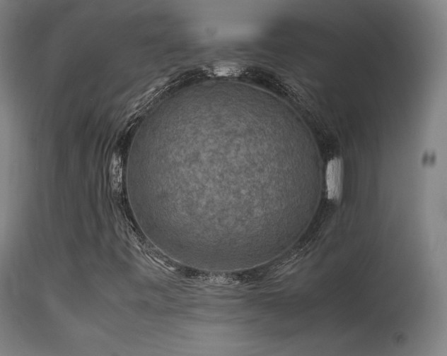 X0000113371443200909221212