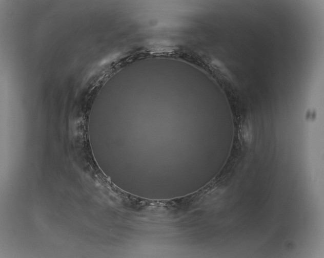 X0000113371445200909221212