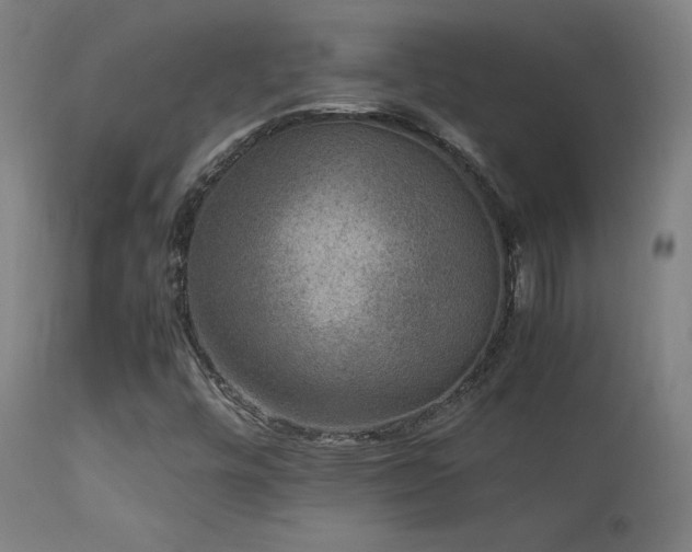 X0000113371448200909221212