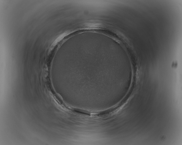 X0000113371449200909221212