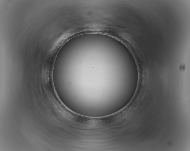 X0000113371451200909221212