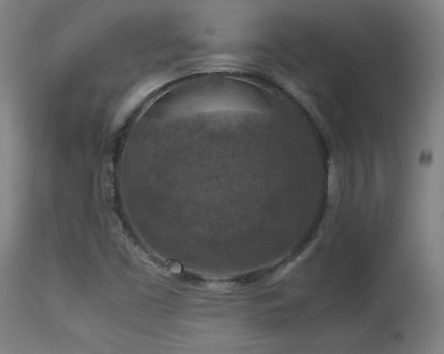 X0000113371453200909221211