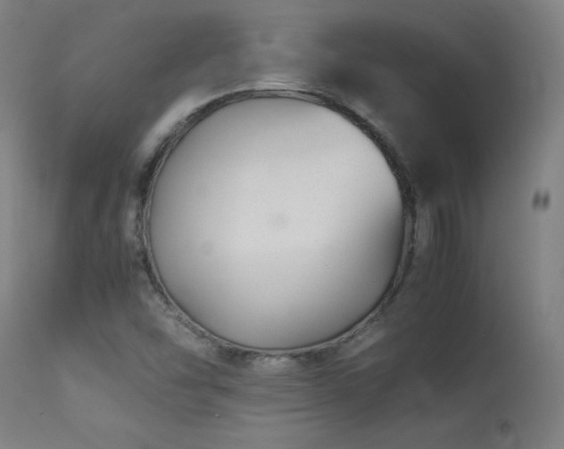 X0000113371454200909221211