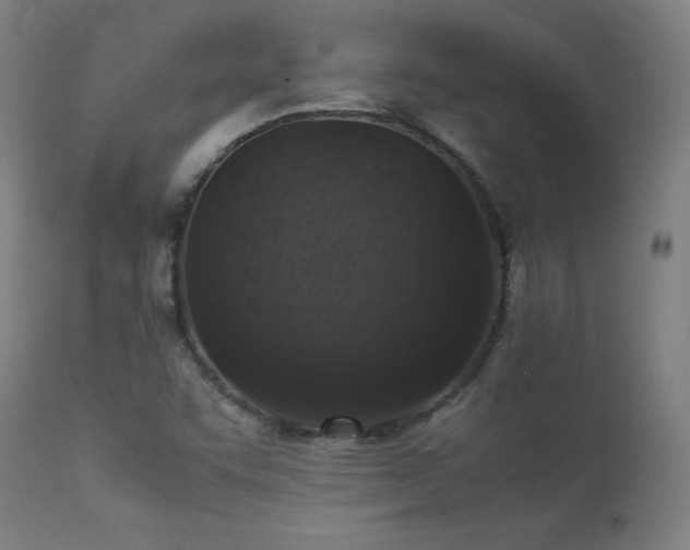 X0000113371455200909221211