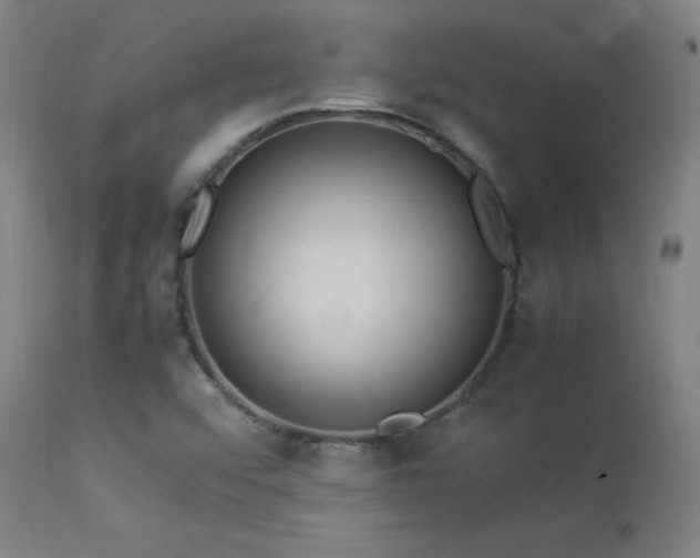X0000113371456200909221211