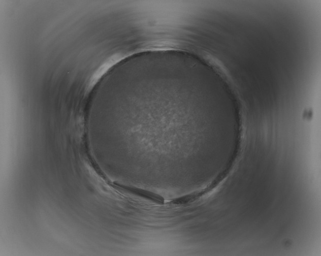 X0000113371457200909221211