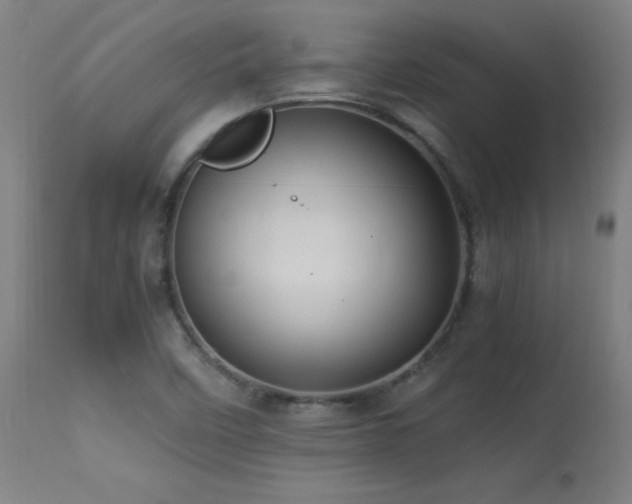 X0000113371458200909221211