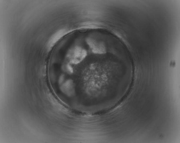 X0000113371459200909221211