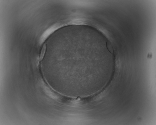X0000113371461200909221211