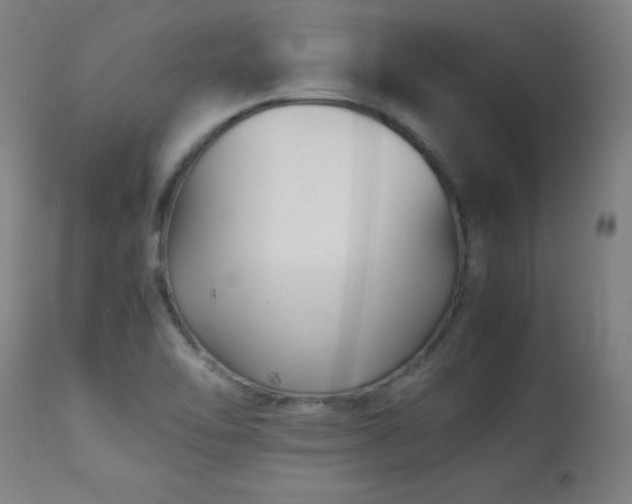 X0000113371462200909221211