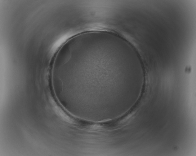 X0000113371463200909221211