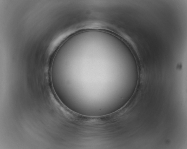 X0000113371464200909221211