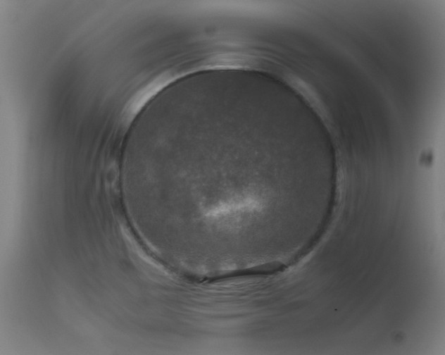 X0000113371465200909221211
