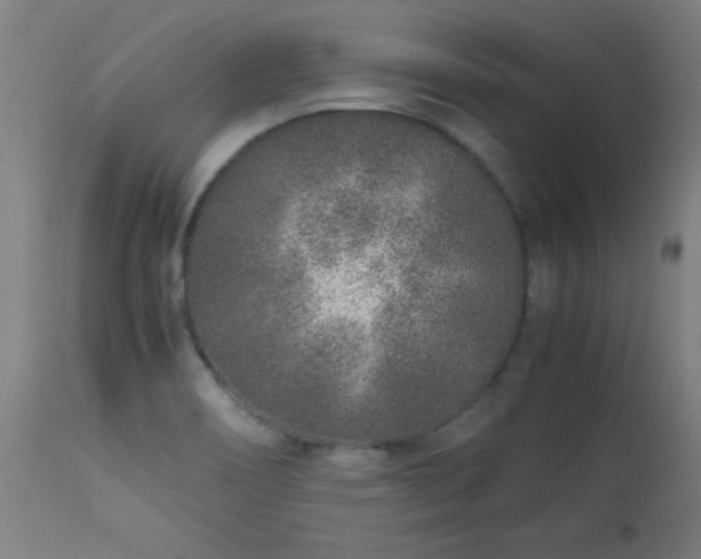 X0000113371466200909221211