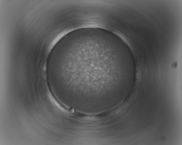 X0000113371468200909221211