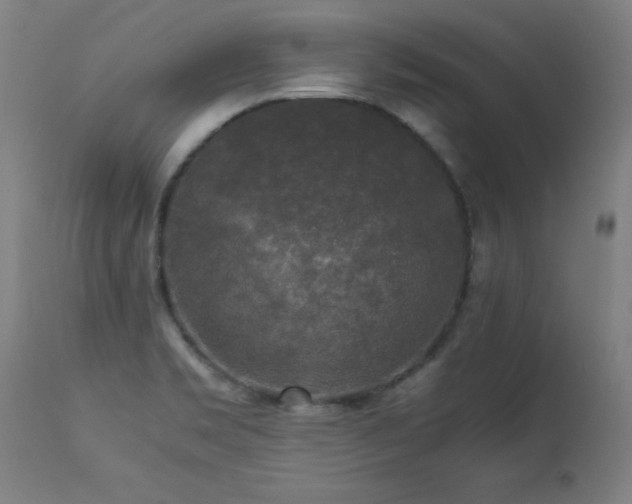 X0000113371469200909221211