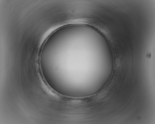 X0000113371470200909221211