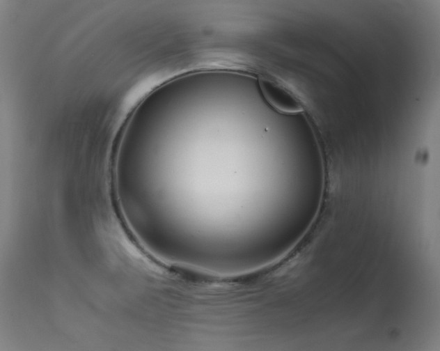 X0000113371471200909221211