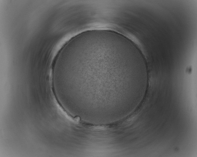 X0000113371472200909221211