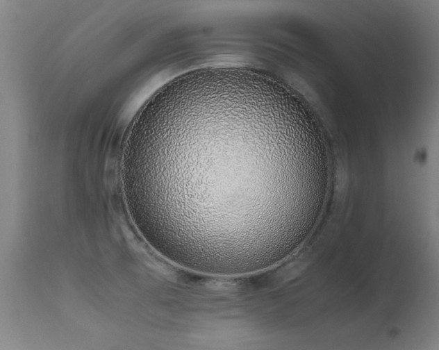 X0000113371473200909221211