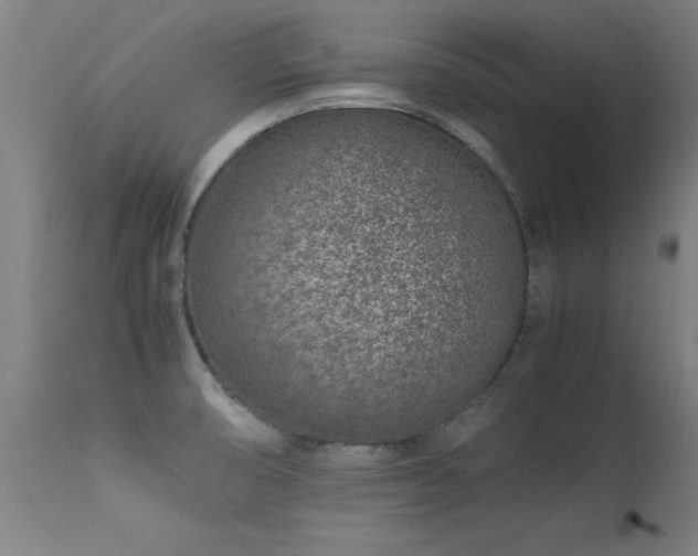 X0000113371474200909221211
