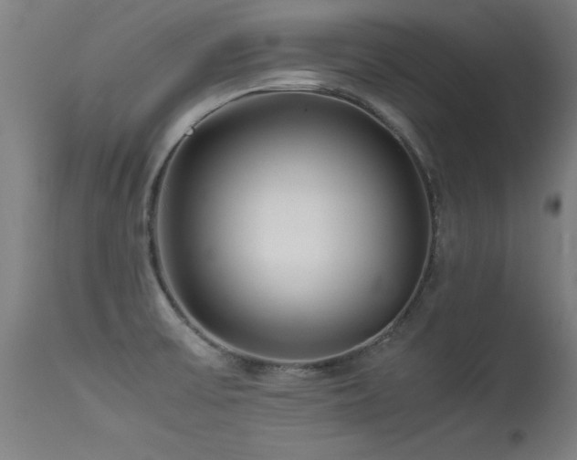 X0000113371475200909221211