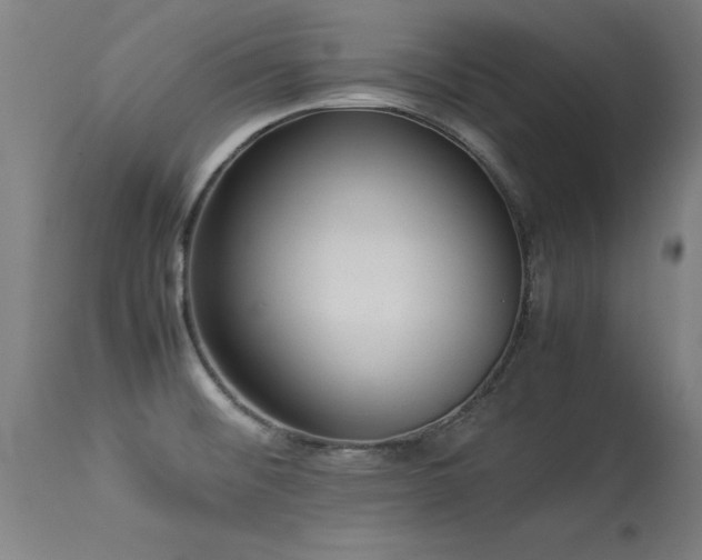 X0000113371476200909221211