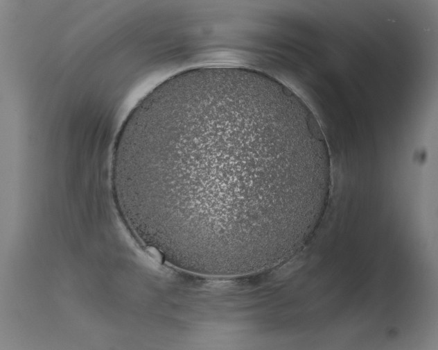 X0000113371477200909221211