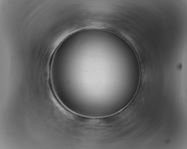 X0000113371479200909221211