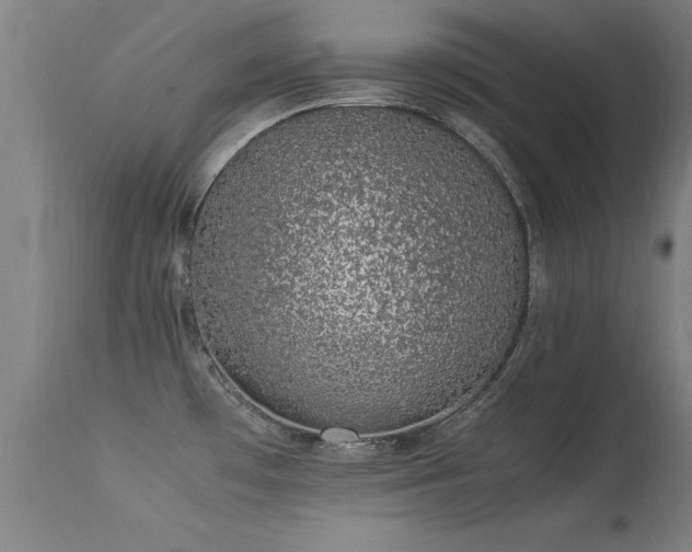 X0000113371481200909221211
