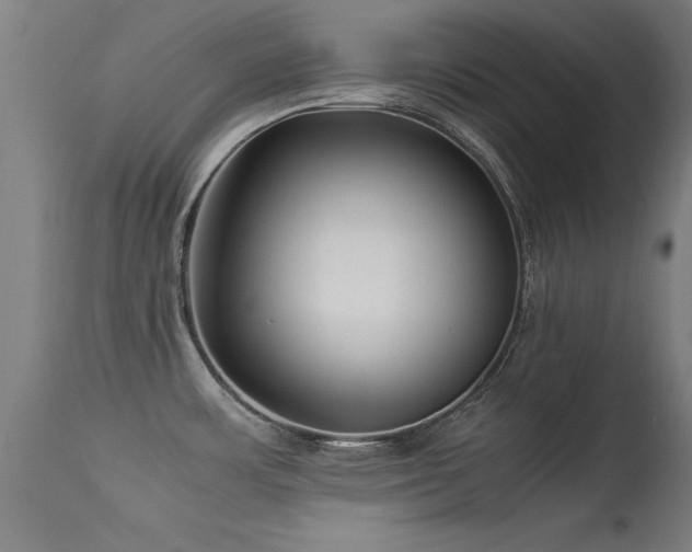 X0000113371483200909221211
