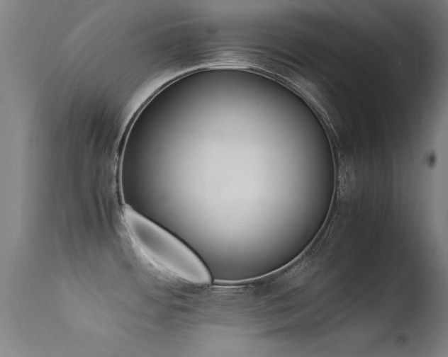X0000113371484200909221211