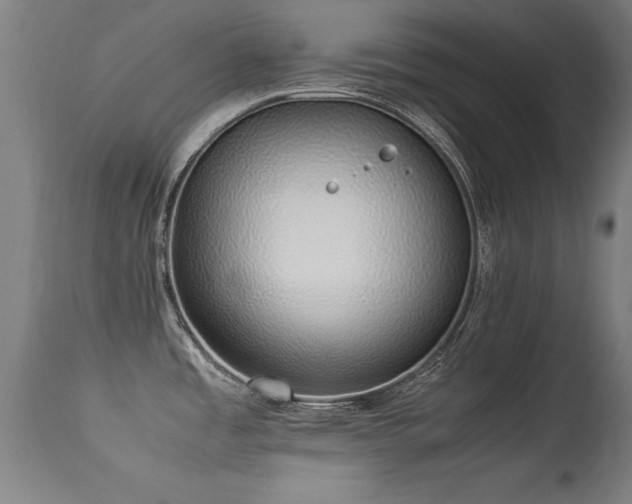 X0000113371485200909221211