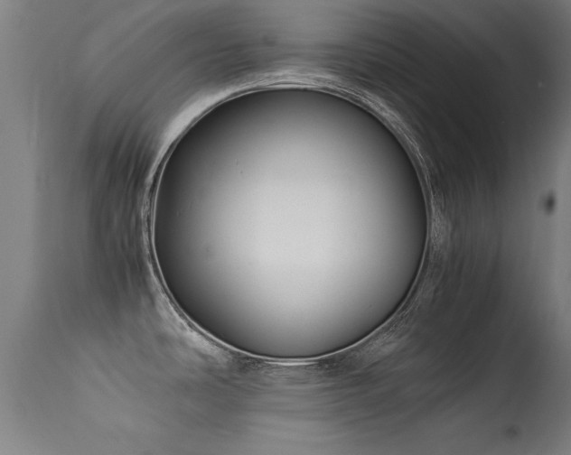 X0000113371486200909221211