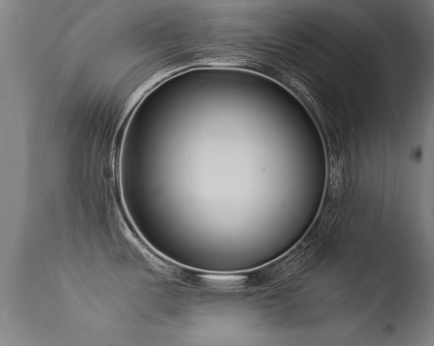 X0000113371487200909221211