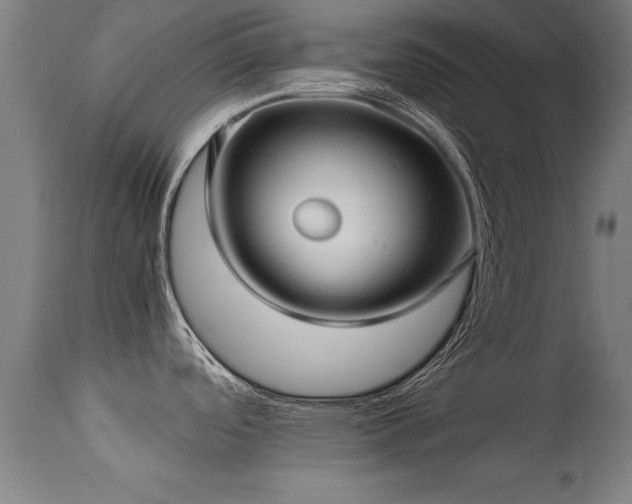 X0000113371488200909221211