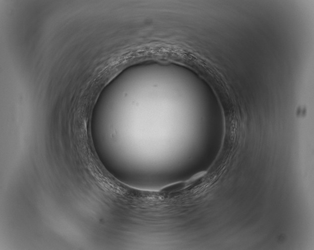 X0000113371489200909221210