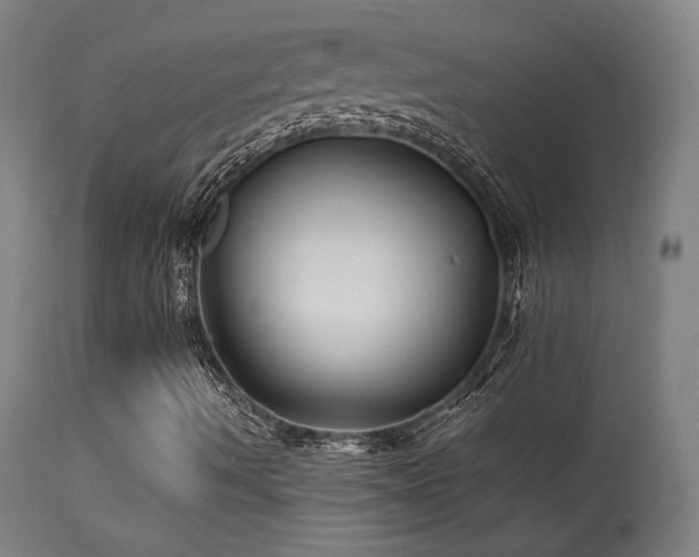 X0000113371490200909221210