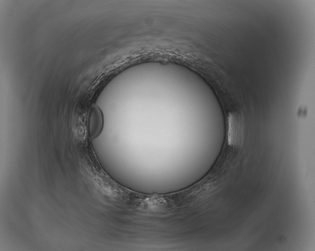 X0000113371491200909221210