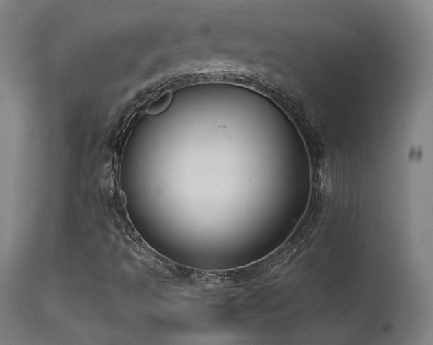 X0000113371493200909221210